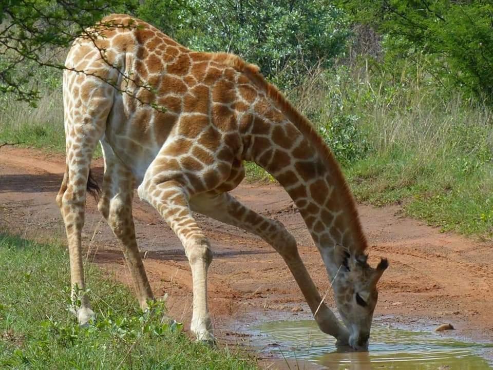 Bushveld Magic Klipdrift